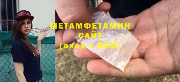 сатива Покачи
