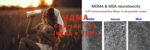 сатива Покачи