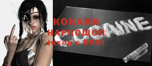 сатива Покачи