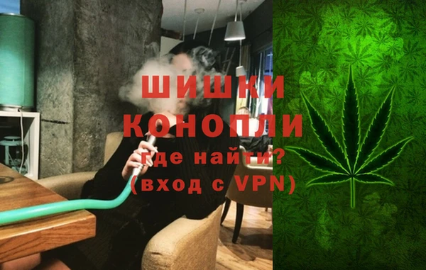 сатива Покачи