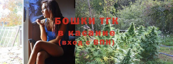 сатива Покачи