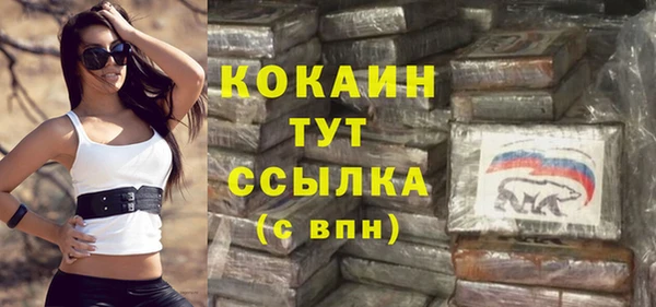 сатива Покачи