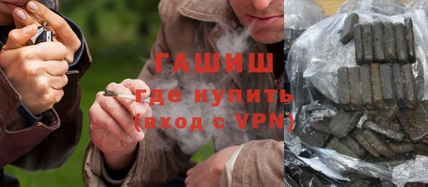 сатива Покачи