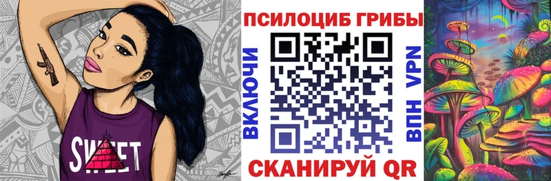 Псилоцибиновые грибы MAGIC MUSHROOMS  где найти наркотики  Северо-Курильск 